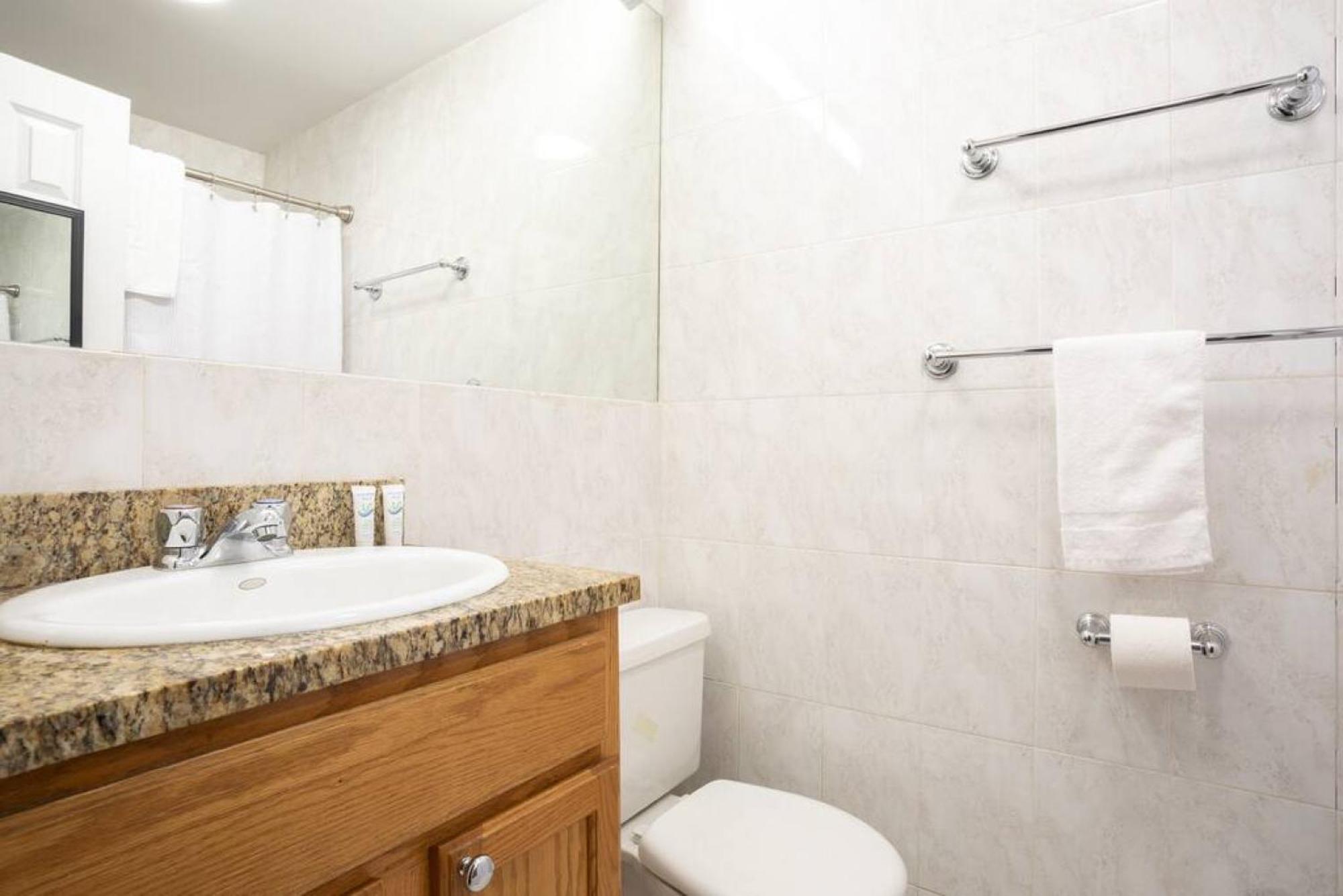 Modern 1brs Steps From Common And South End Apartment